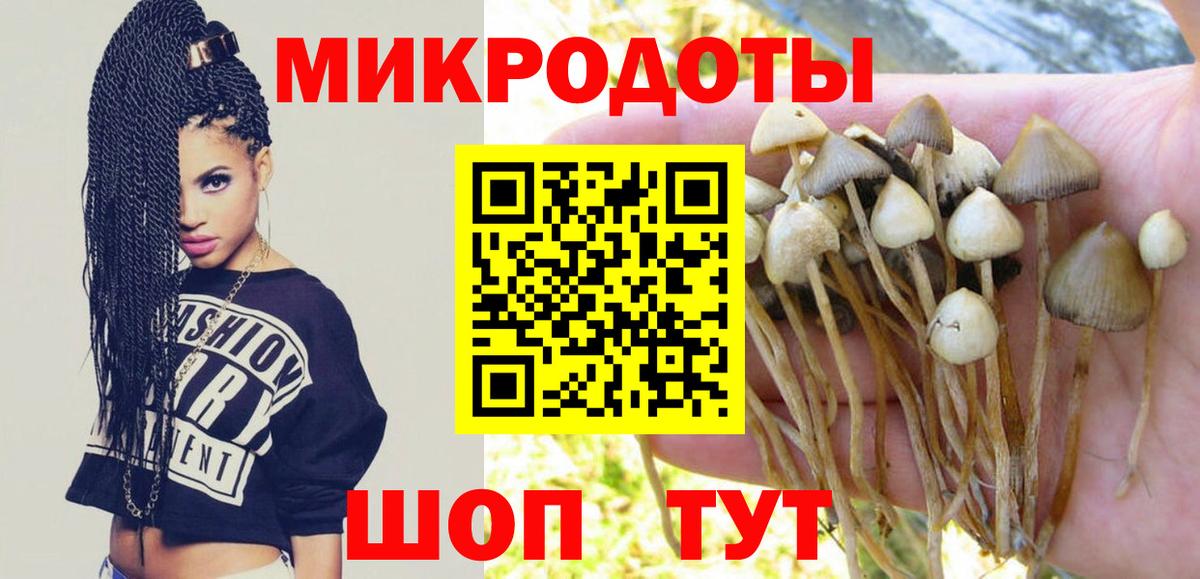 Галлюциногенные грибы Cubensis  Псилоцибиновые грибы Cubensis  Вход с VPN  Киржач 