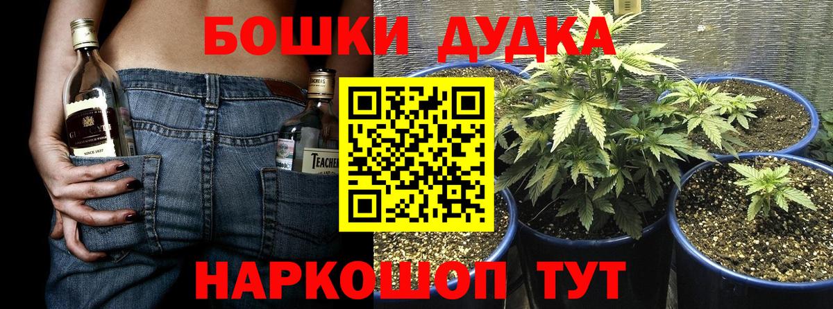 Каннабис планчик  Вход с VPN  Киржач  МАРИХУАНА Ganja  МАРИХУАНА THC 21%  Шишки марихуана гибрид 